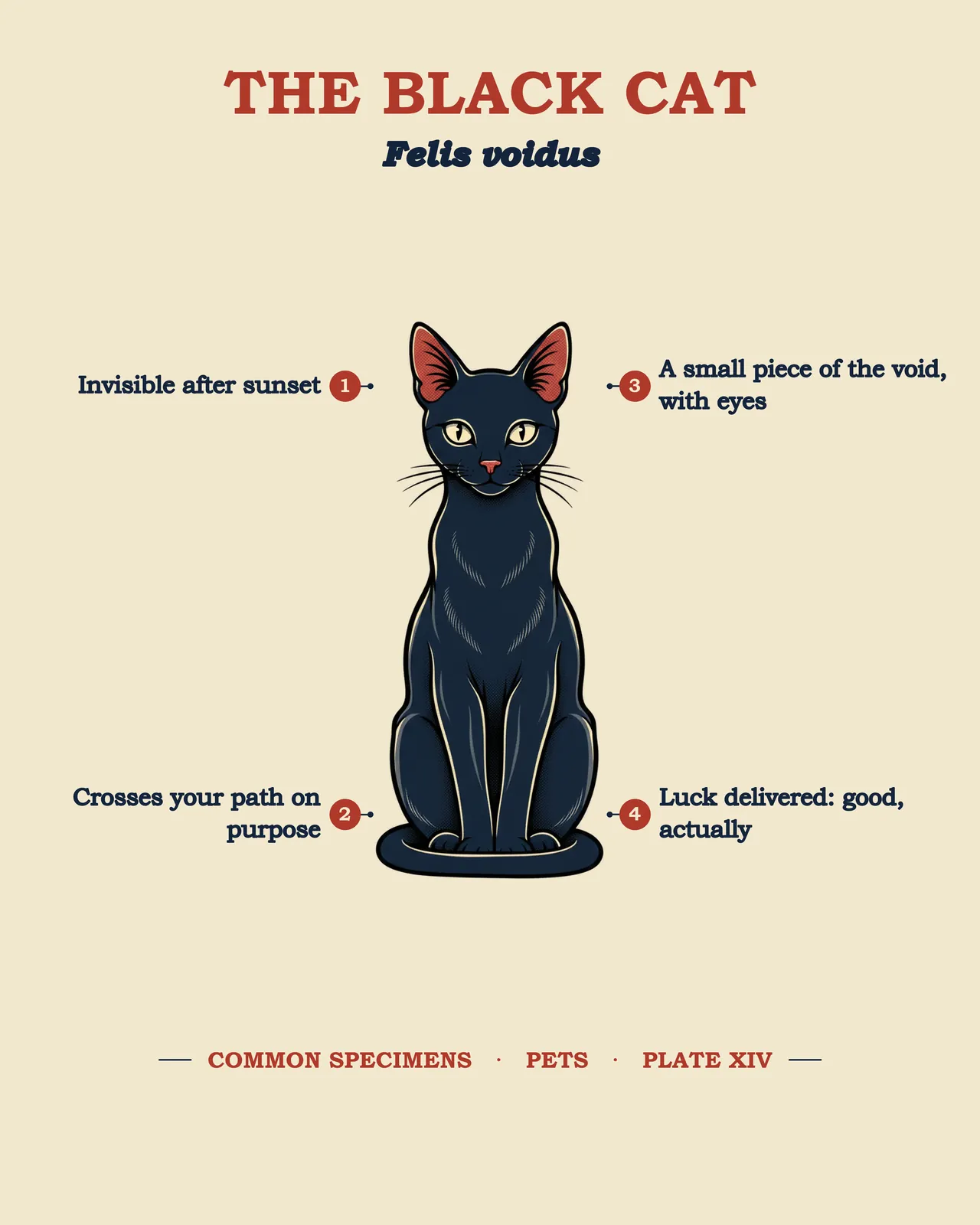 THE BLACK CAT specimen plate
