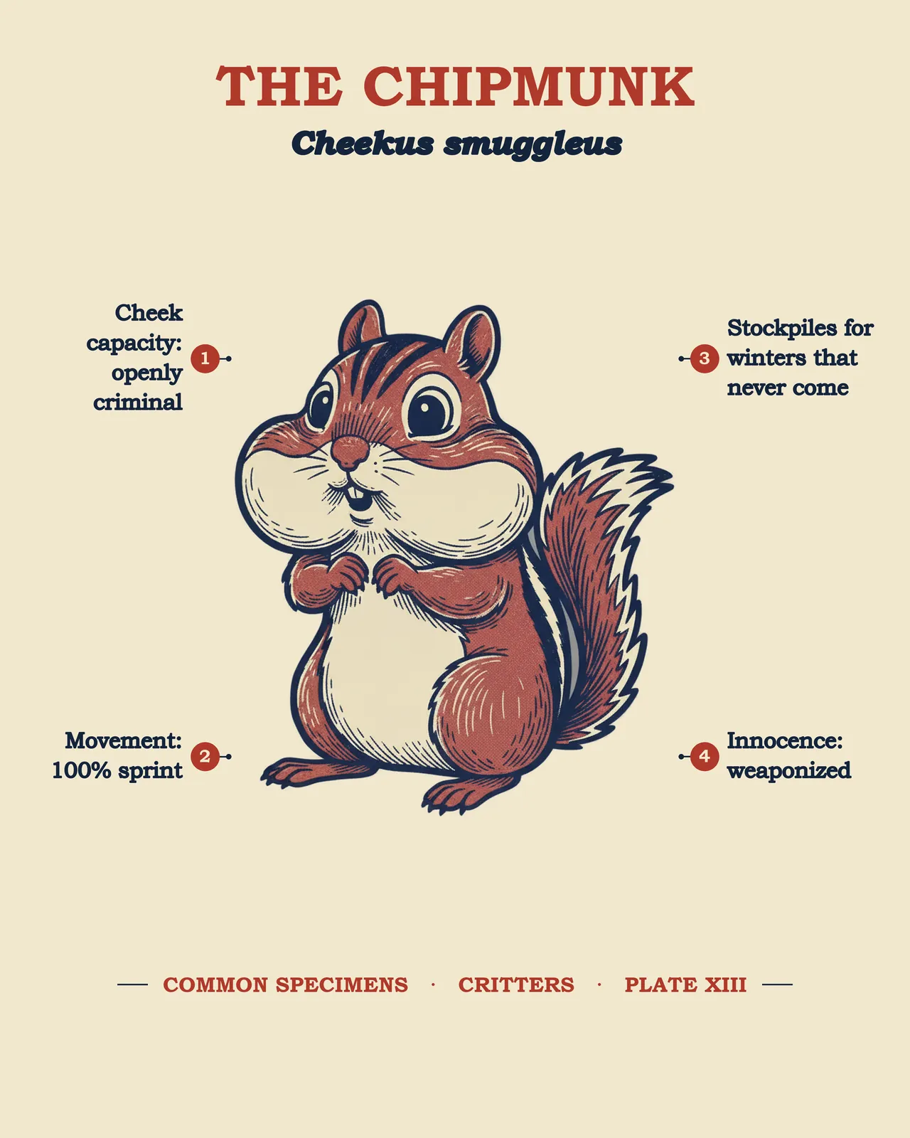 THE CHIPMUNK specimen plate