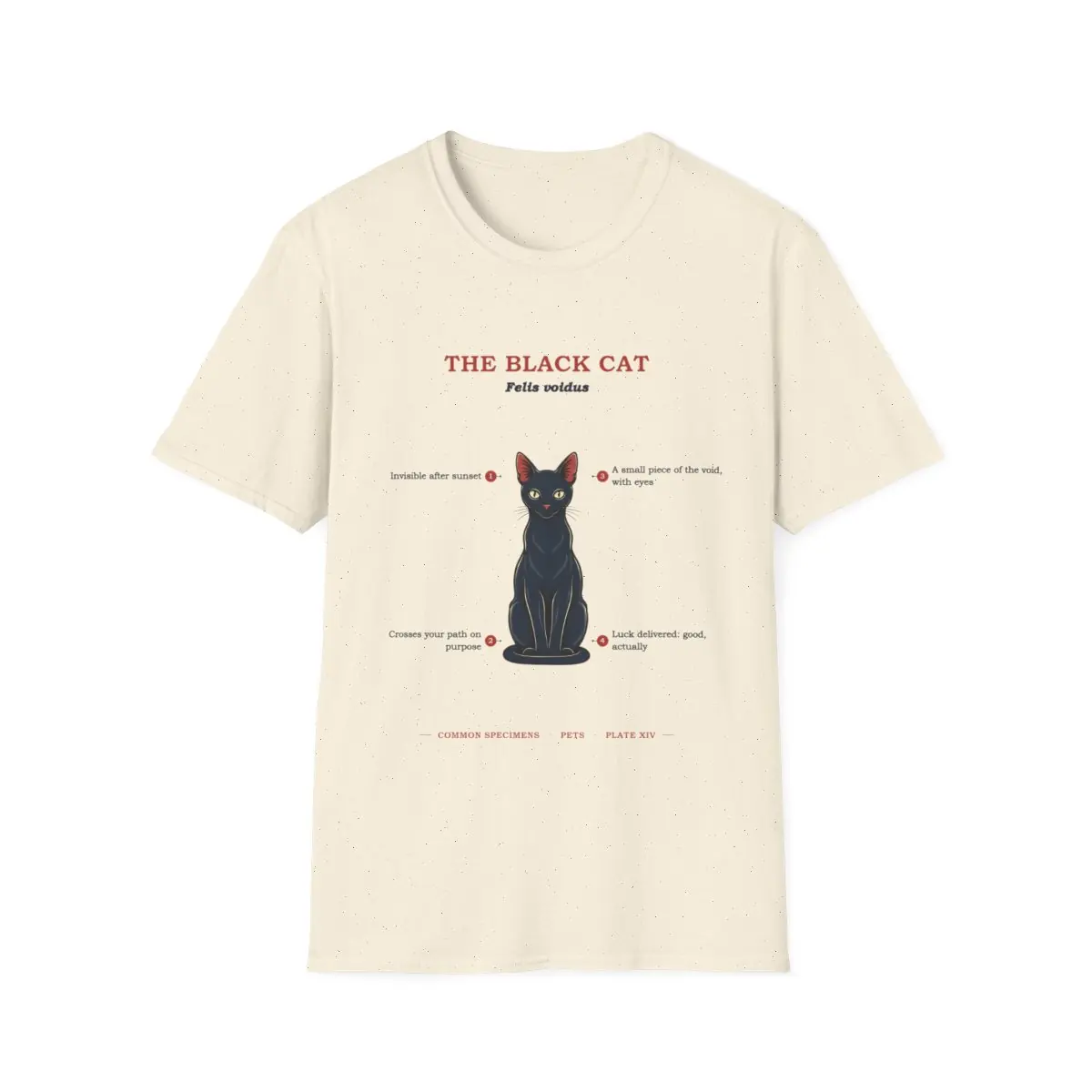 THE BLACK CAT, printed on a tee