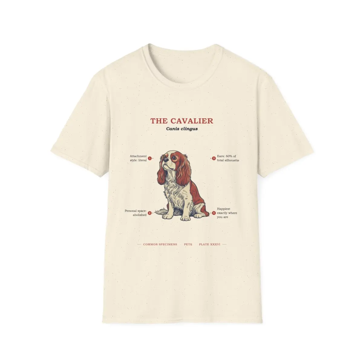 THE CAVALIER, printed on a tee