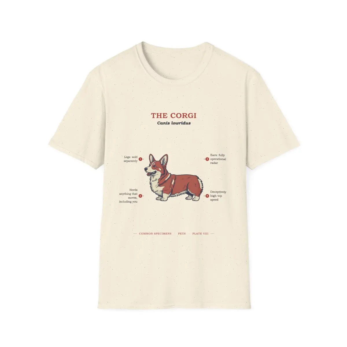 THE CORGI, printed on a tee