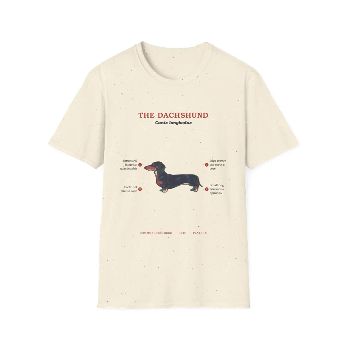 THE DACHSHUND, printed on a tee