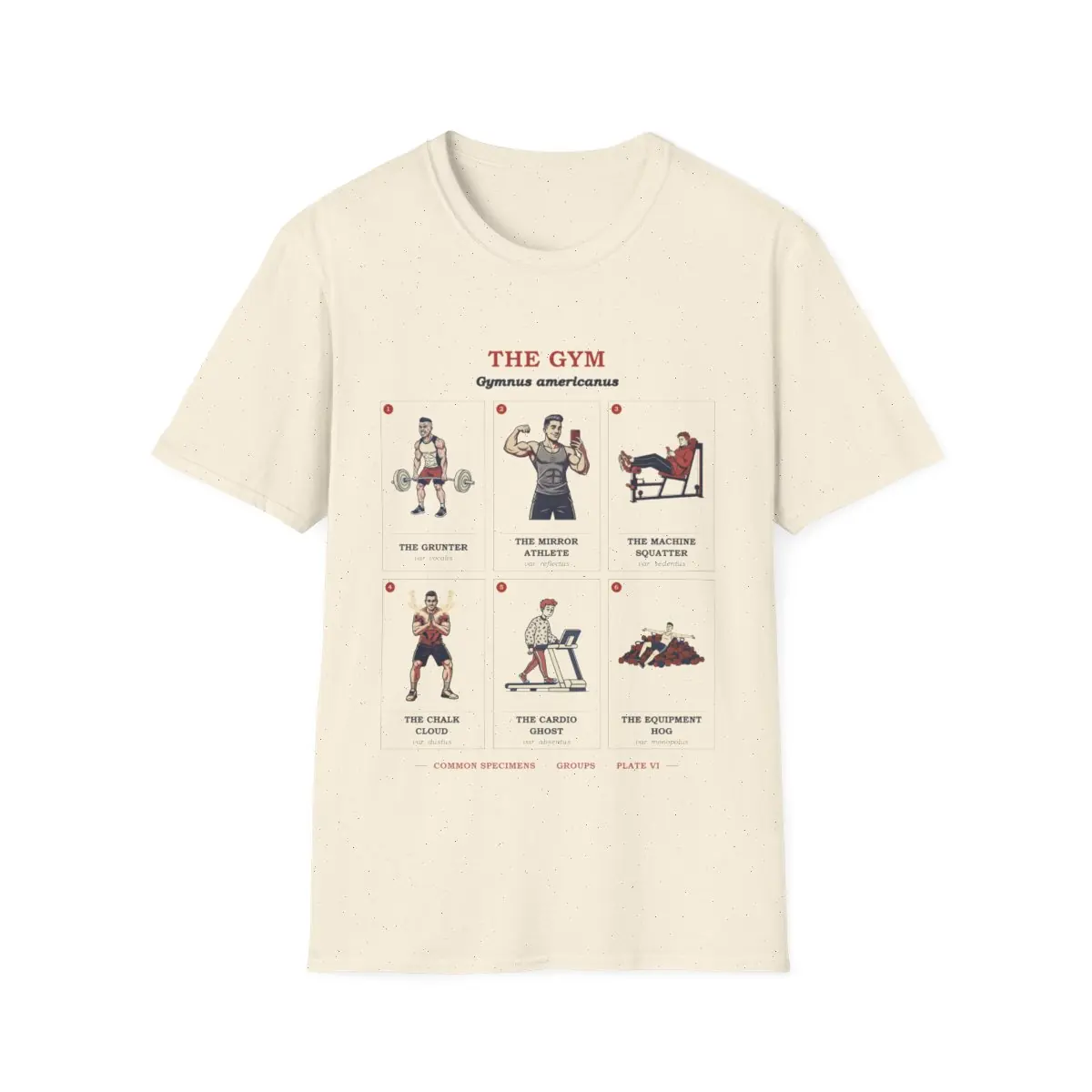 THE GYM, printed on a tee