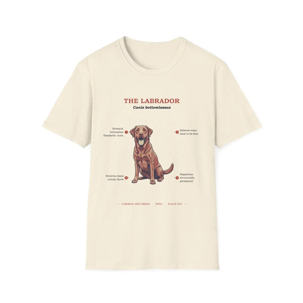 THE LABRADOR, printed on a tee