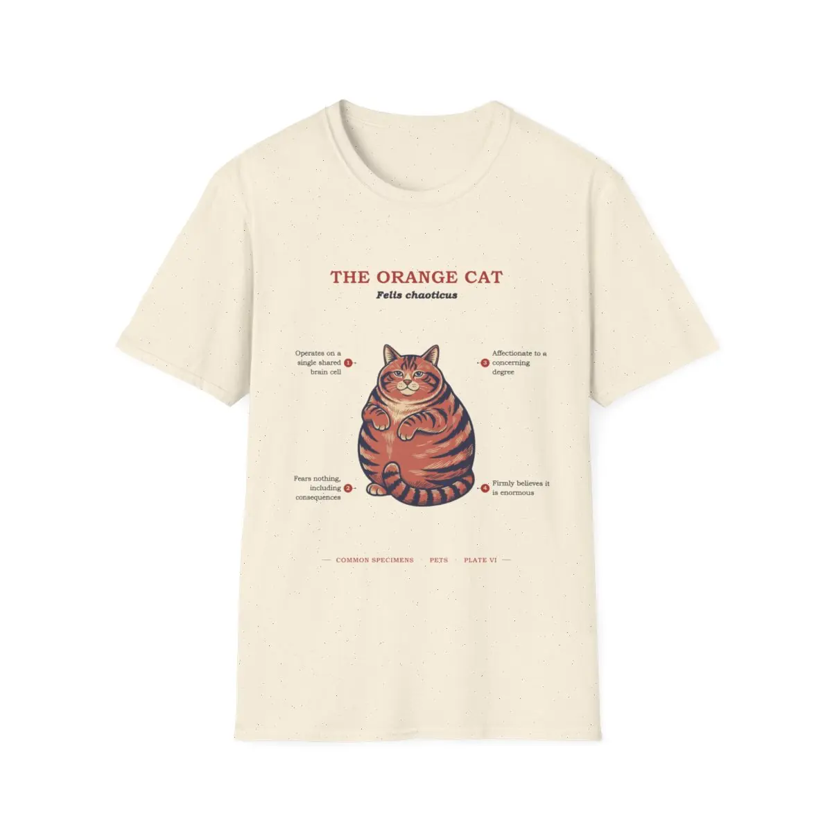 THE ORANGE CAT, printed on a tee