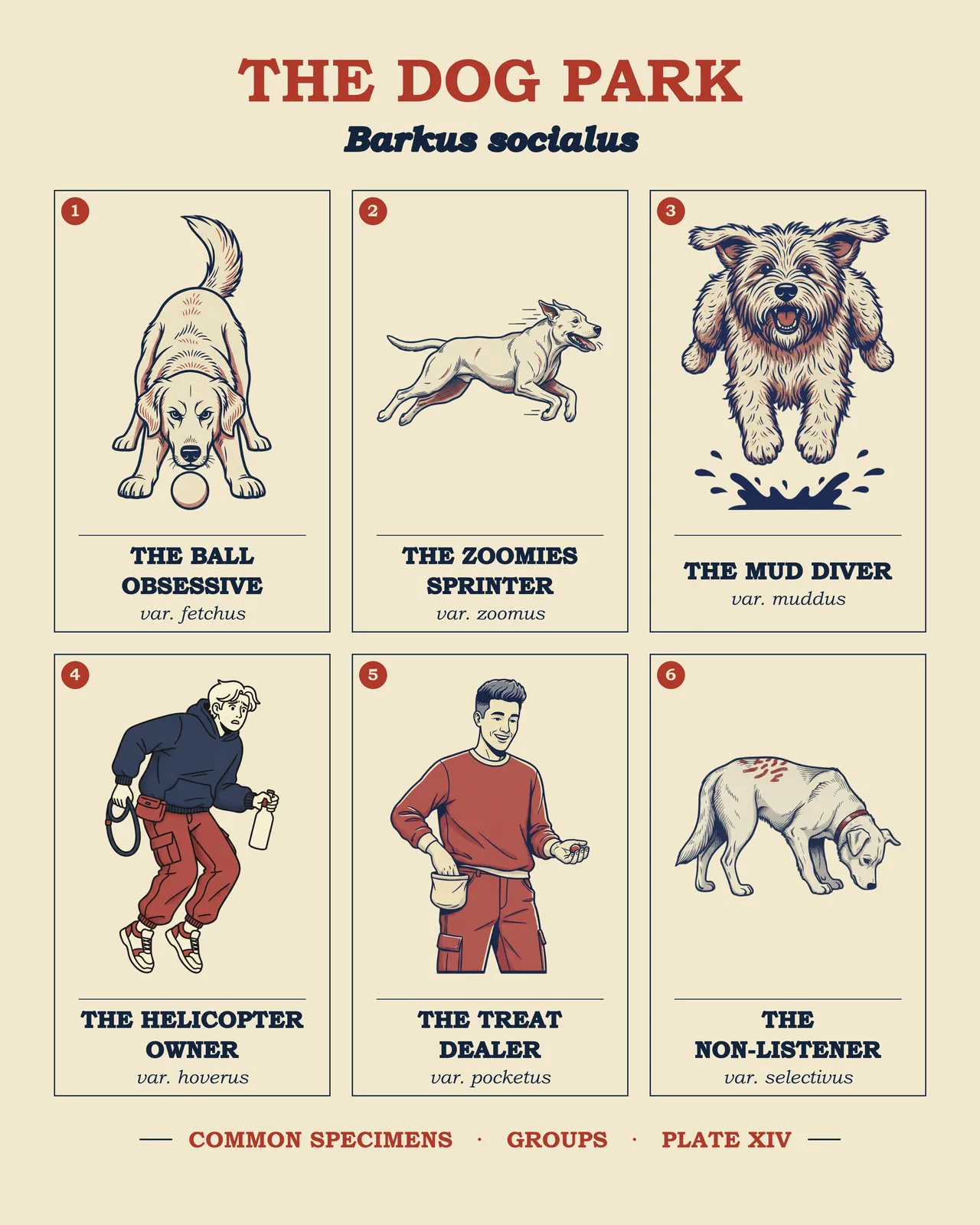 THE DOG PARK specimen plate