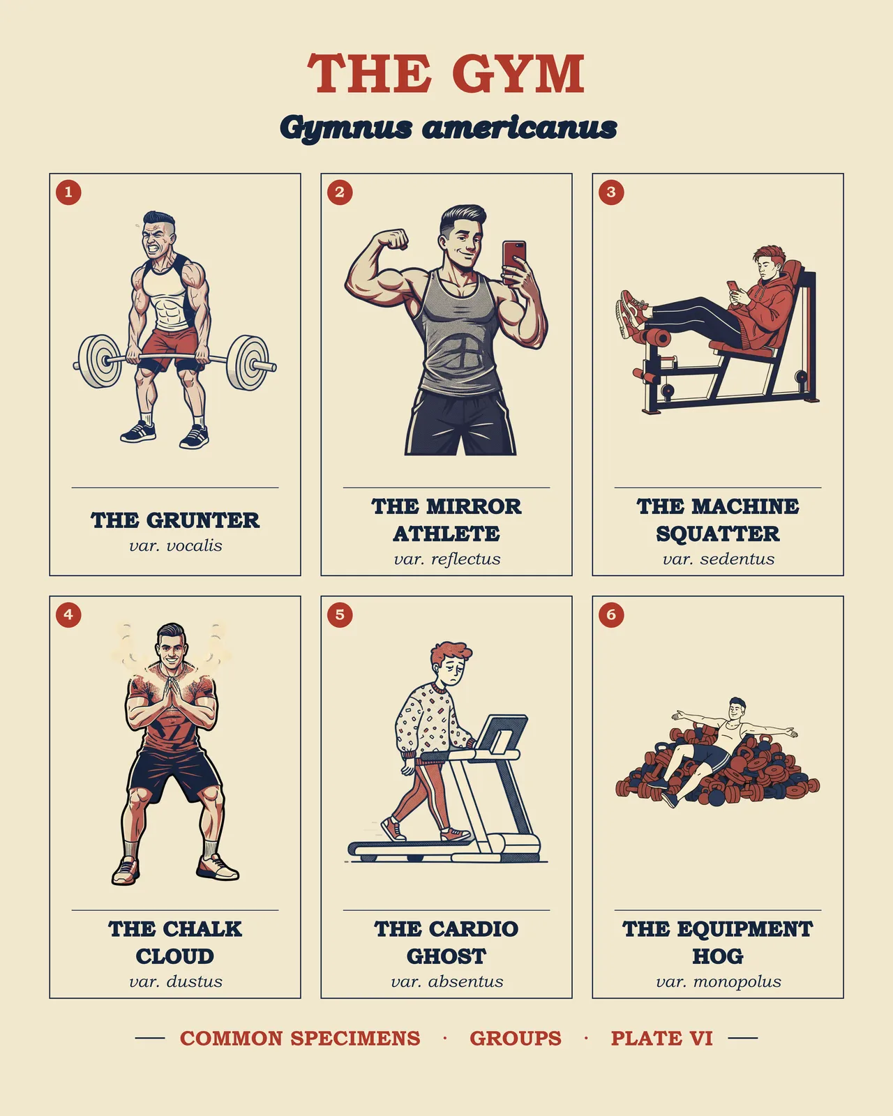 THE GYM specimen plate
