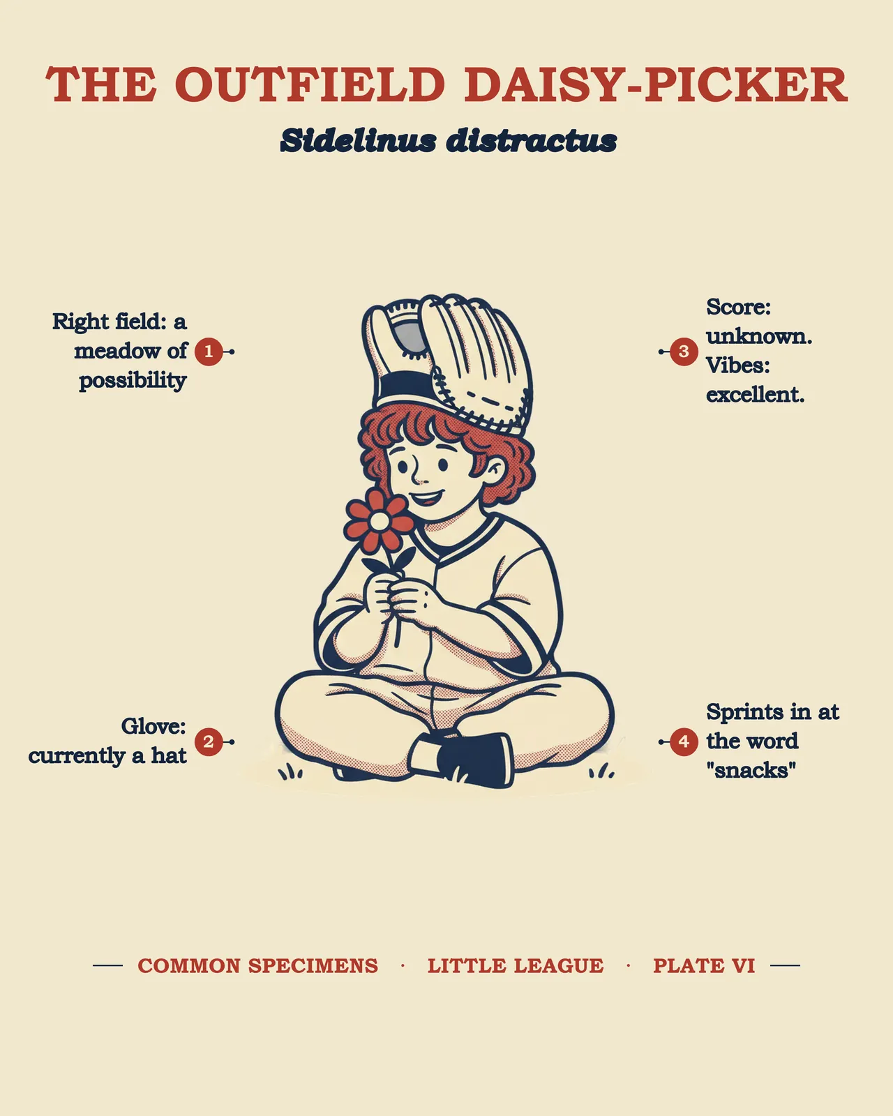 THE OUTFIELD DAISY-PICKER specimen plate