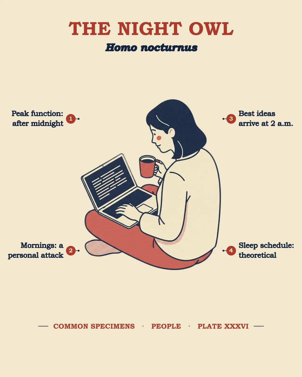 THE NIGHT OWL (for her) specimen plate