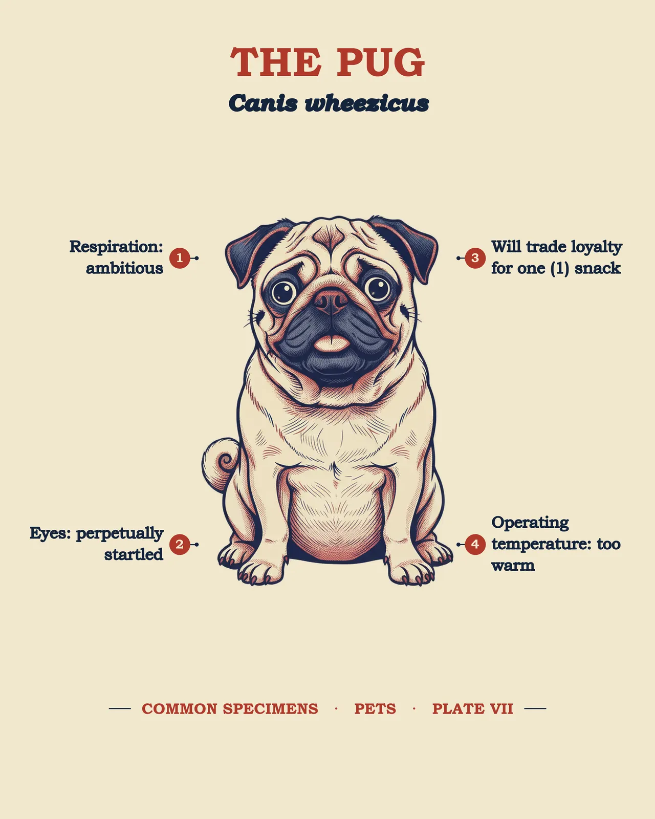 THE PUG specimen plate