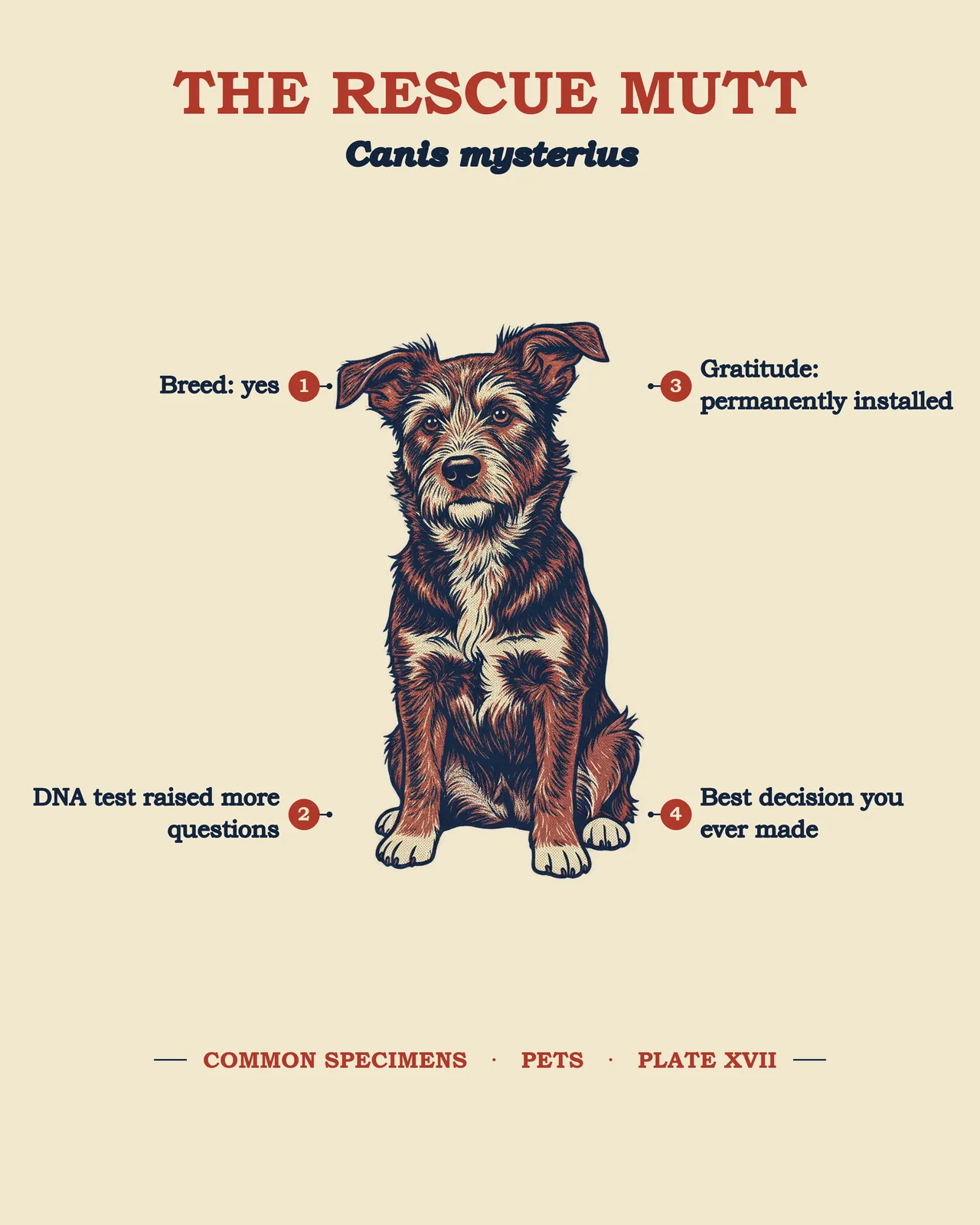 THE RESCUE MUTT specimen plate