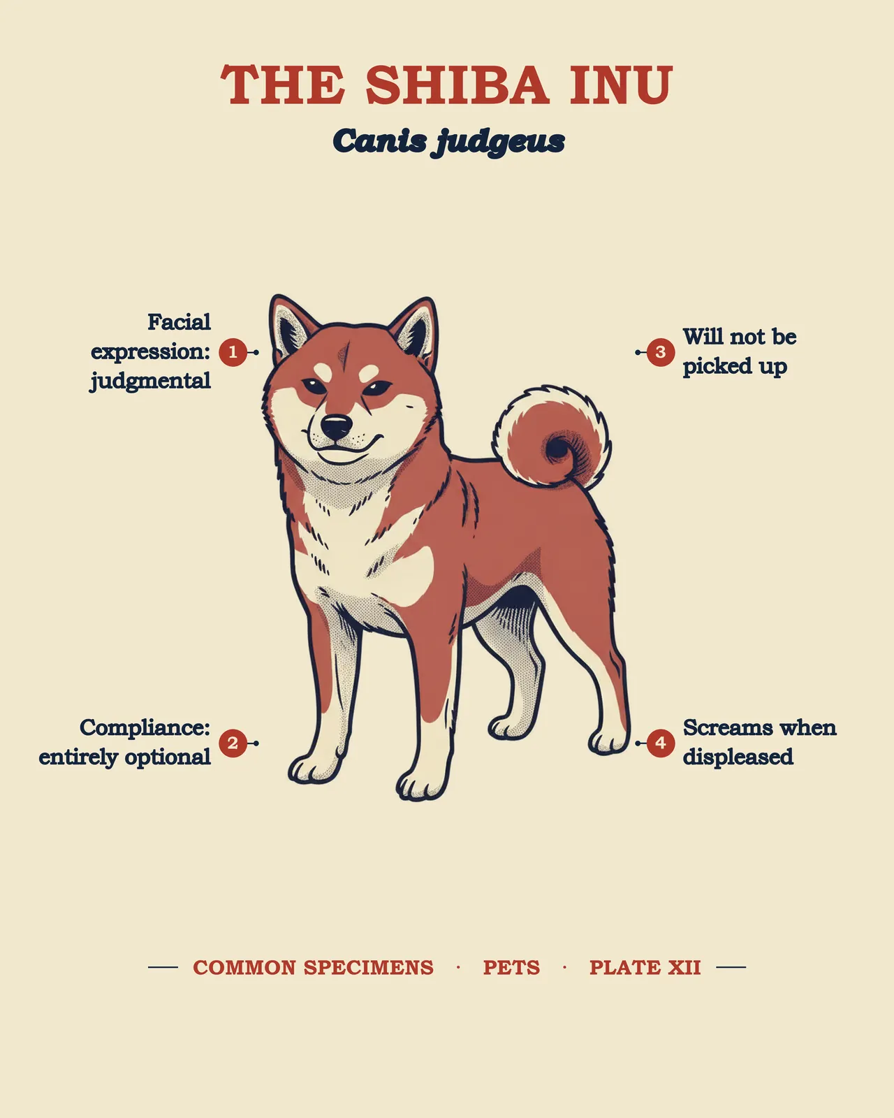 THE SHIBA INU specimen plate