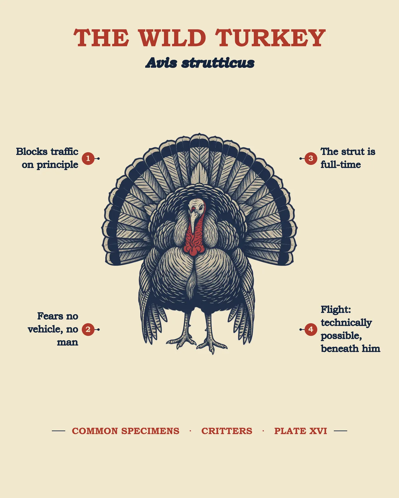 THE WILD TURKEY specimen plate